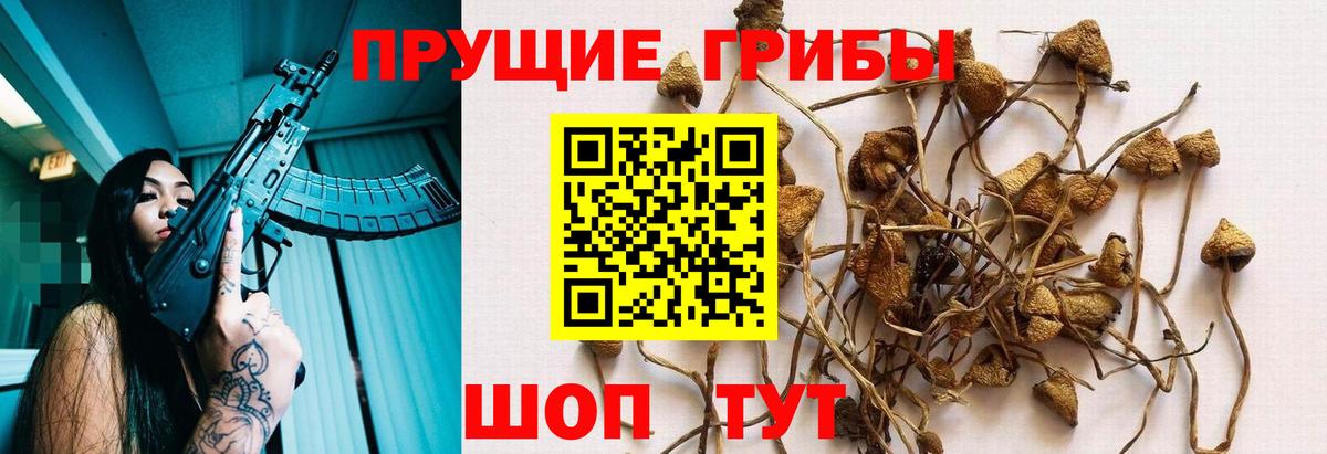 Галлюциногенные грибы мухоморы  Галлюциногенные грибы мухоморы  Вход с VPN  Сунжа 